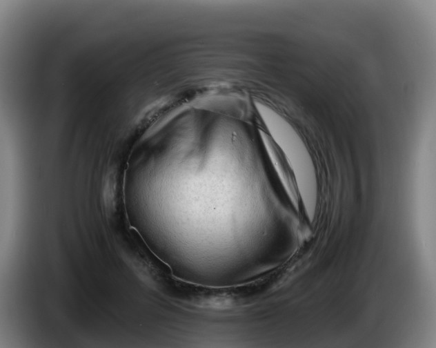 X0000086290600200704201924