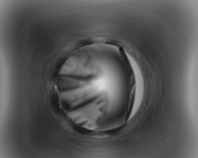 X0000086290601200704201924