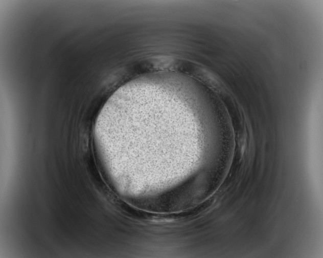X0000086290602200704201924