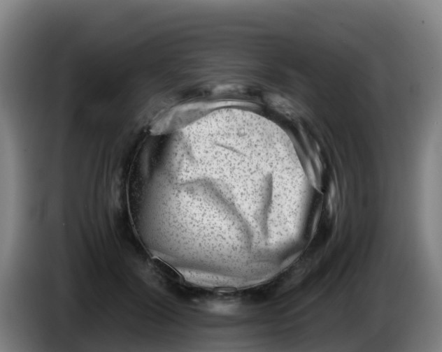X0000086290604200704201924