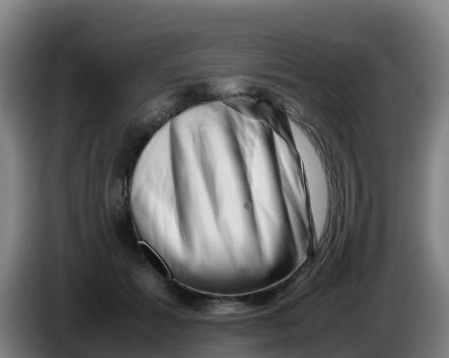 X0000086290605200704201924