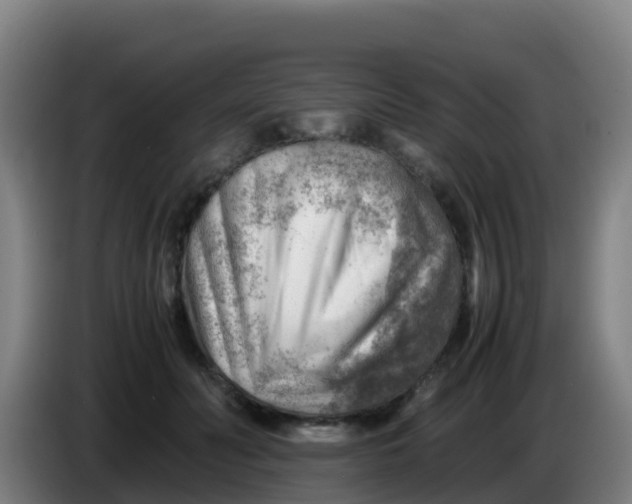 X0000086290606200704201924