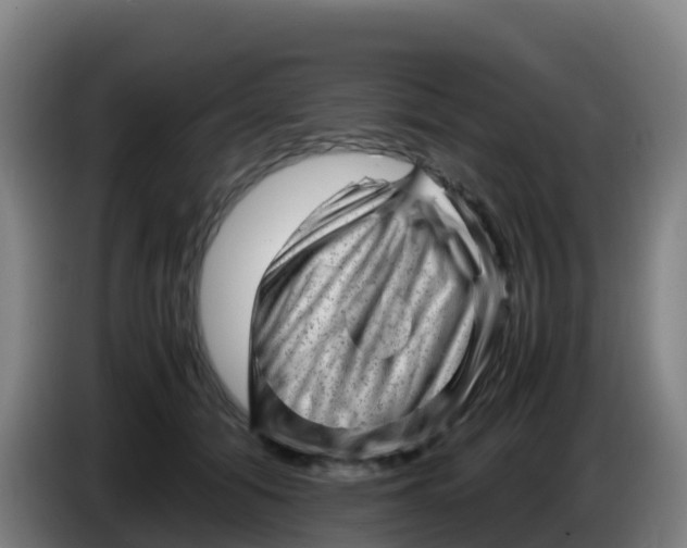 X0000086290608200704201924