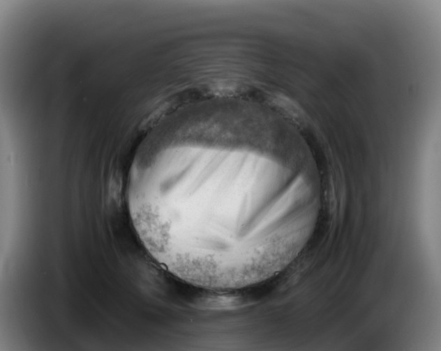 X0000086290610200704201924