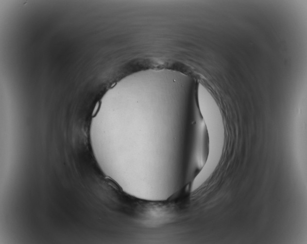 X0000086290613200704201924