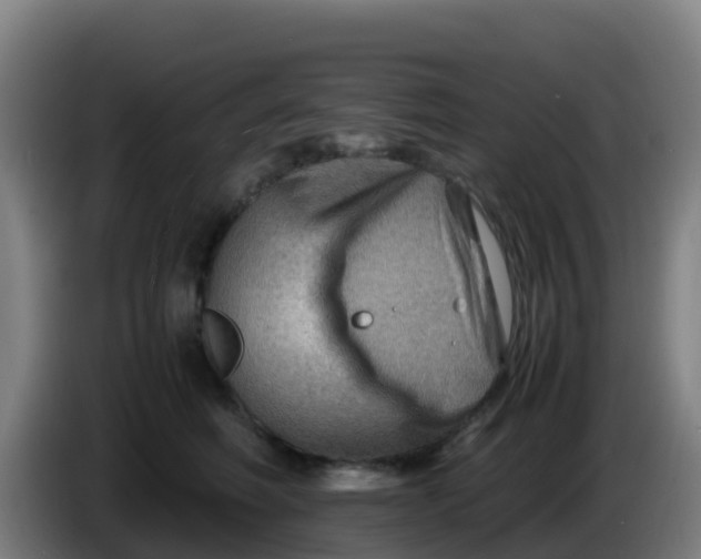 X0000086290614200704201924