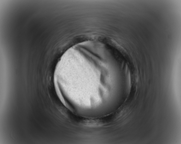 X0000086290615200704201924