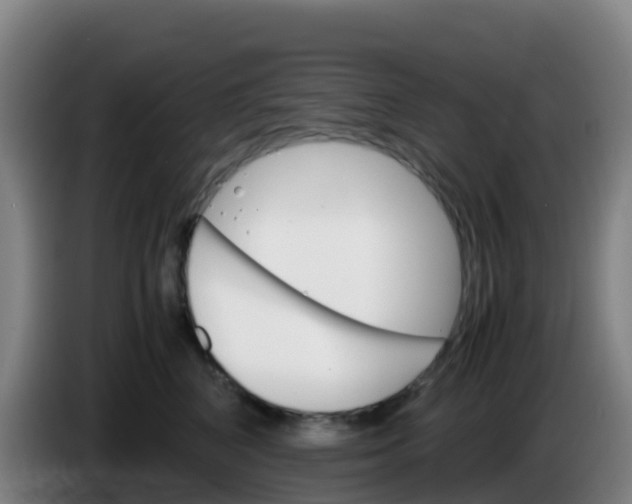 X0000086290616200704201924