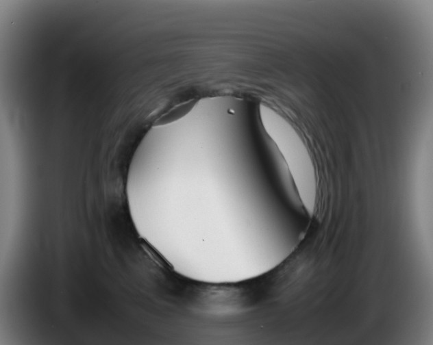 X0000086290617200704201924
