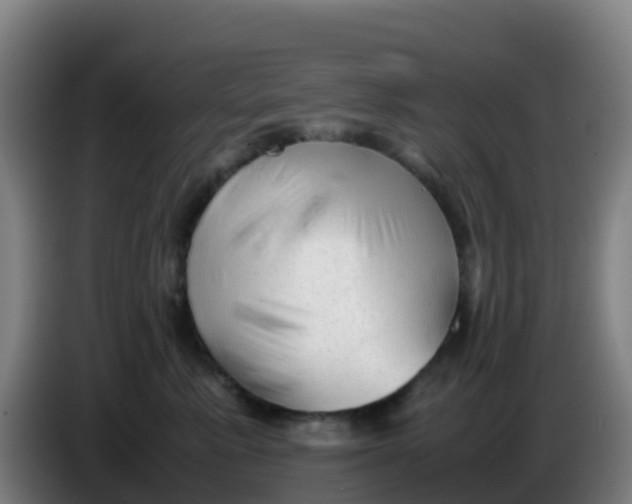 X0000086290619200704201924
