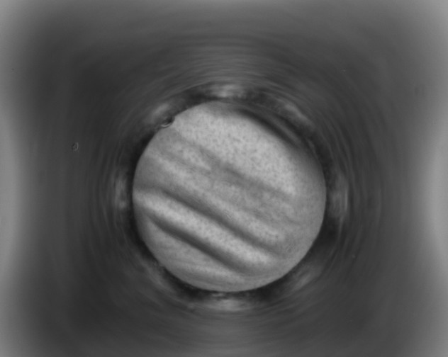 X0000086290620200704201924