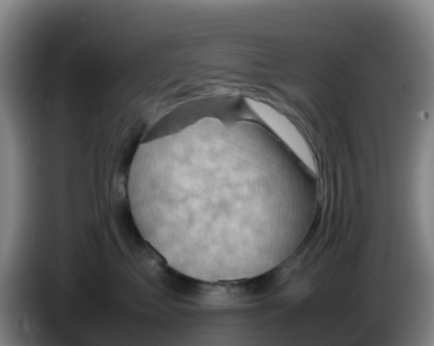 X0000086290621200704201924