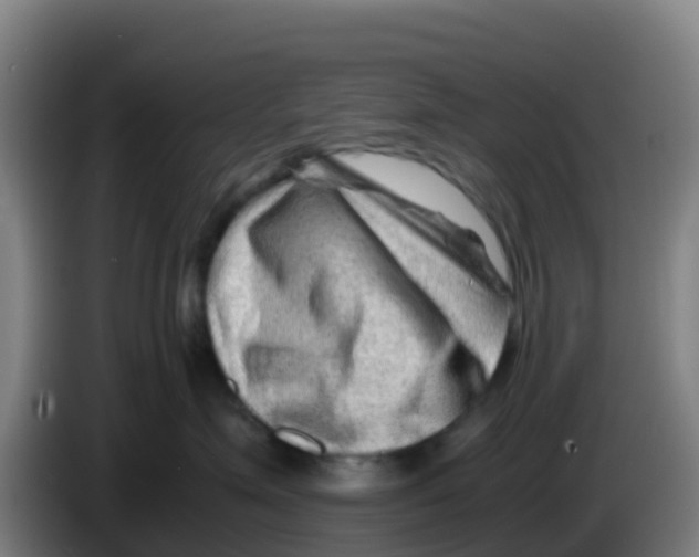 X0000086290623200704201924