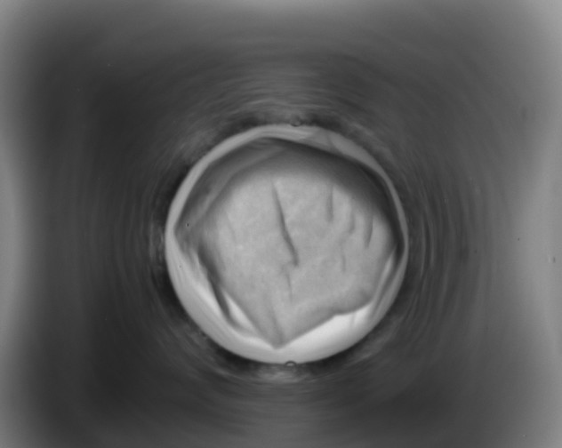 X0000086290624200704201924