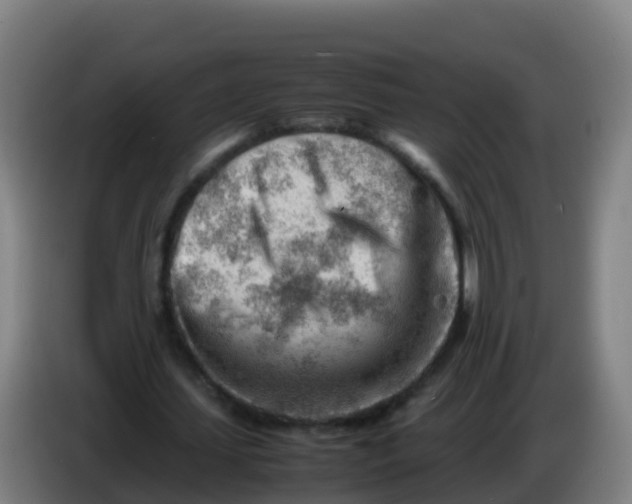 X0000086290627200704201923
