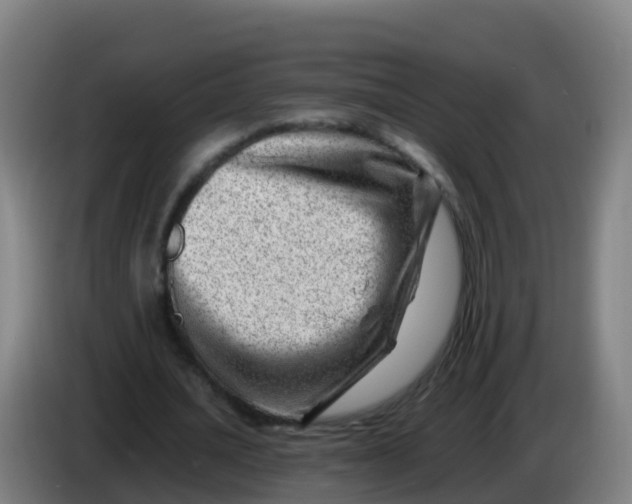 X0000086290628200704201923