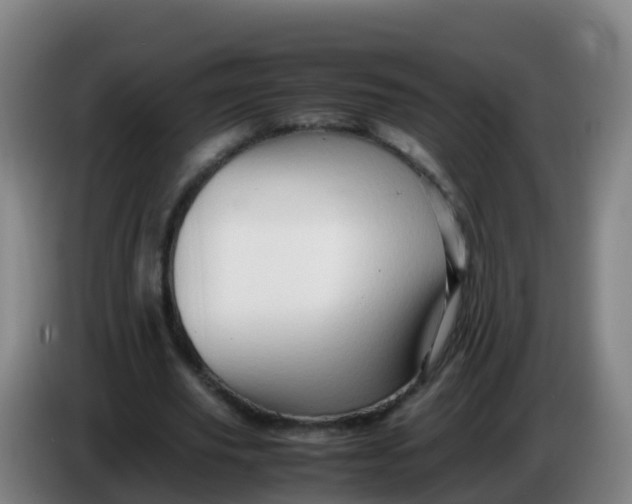 X0000086290629200704201923