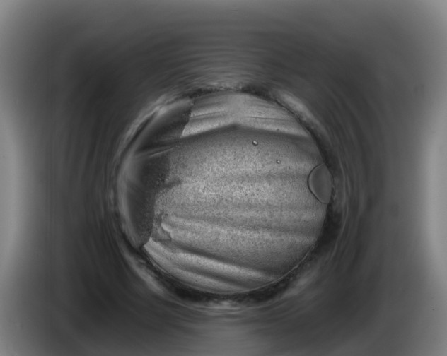 X0000086290634200704201924