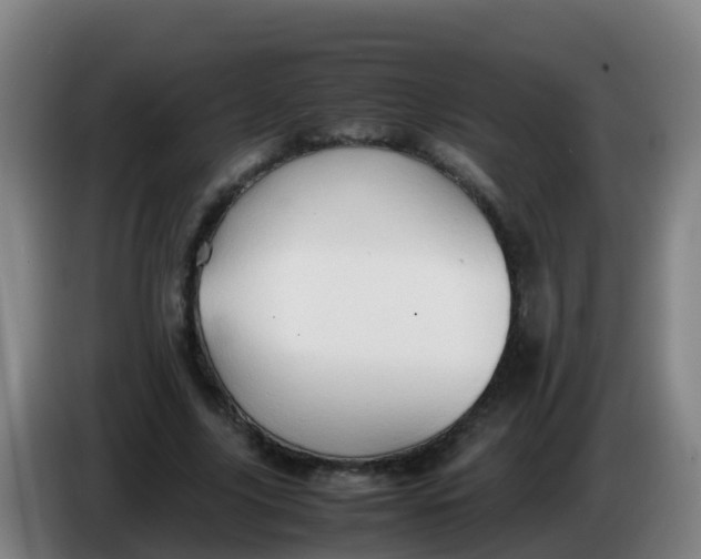 X0000086290635200704201924