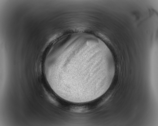X0000086290638200704201924