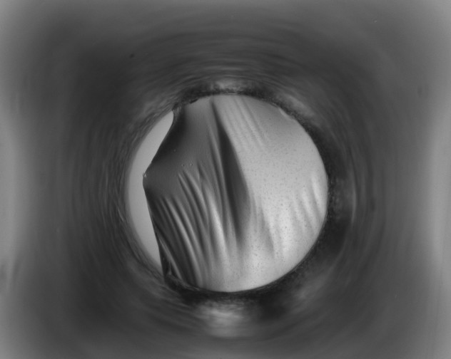 X0000086290639200704201924