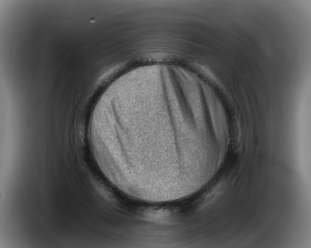 X0000086290640200704201924
