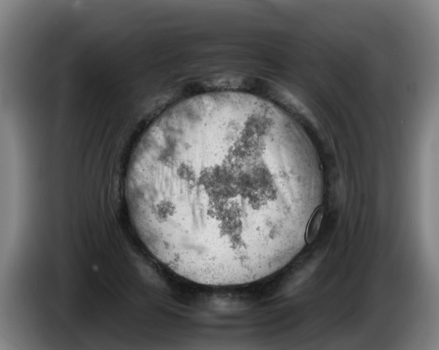 X0000086290641200704201924