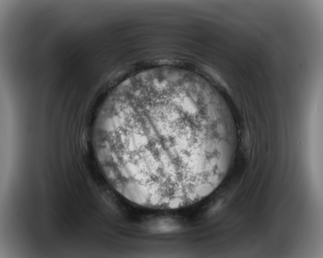 X0000086290643200704201924