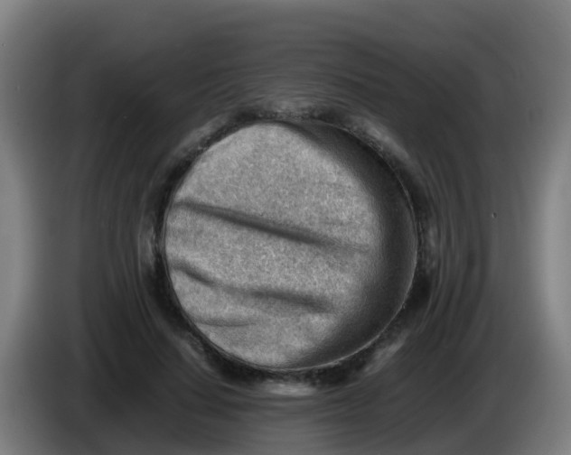 X0000086290644200704201924