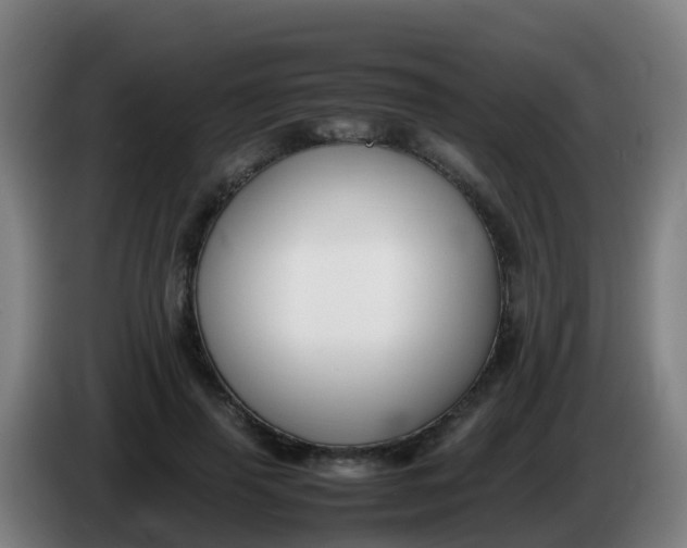 X0000086290645200704201924