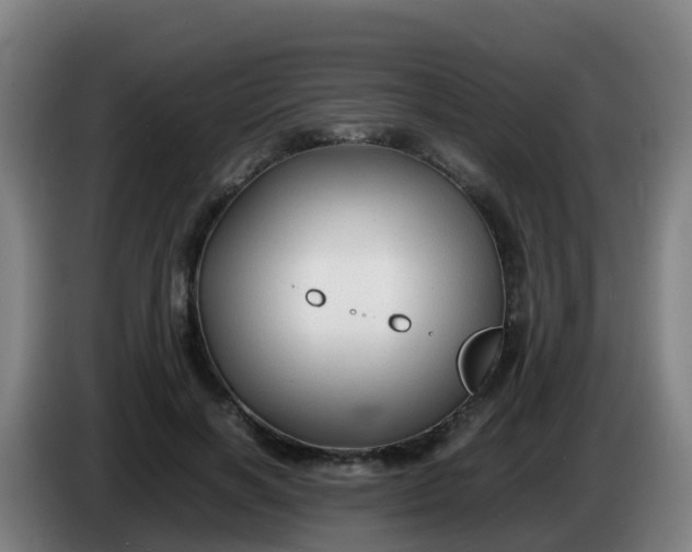 X0000086290646200704201924