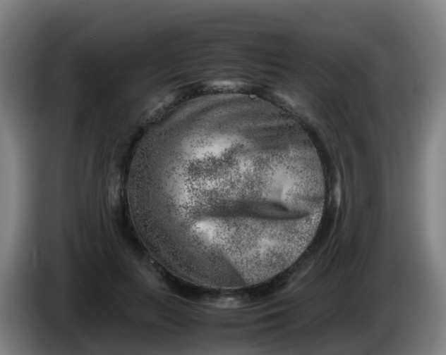 X0000086290647200704201924