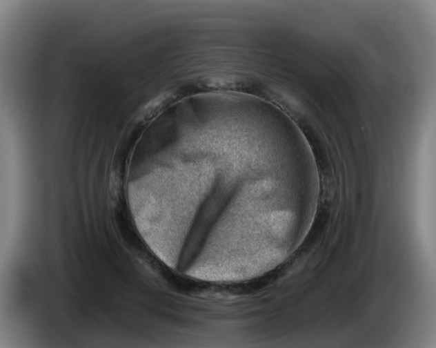 X0000086290648200704201924