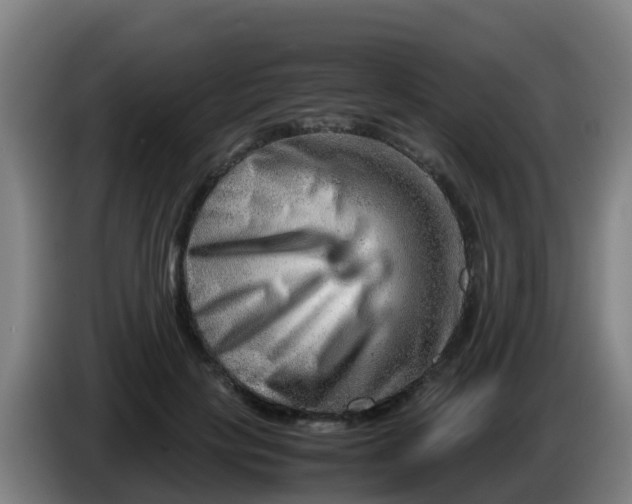 X0000086290649200704201924