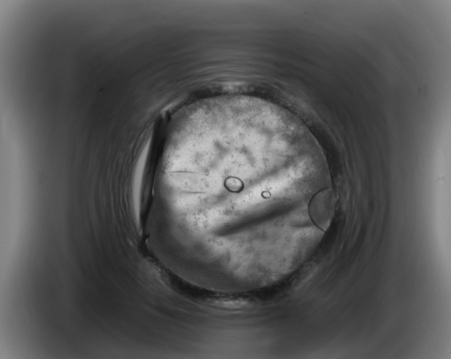 X0000086290650200704201924