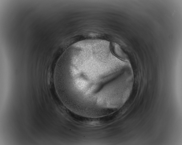 X0000086290651200704201924
