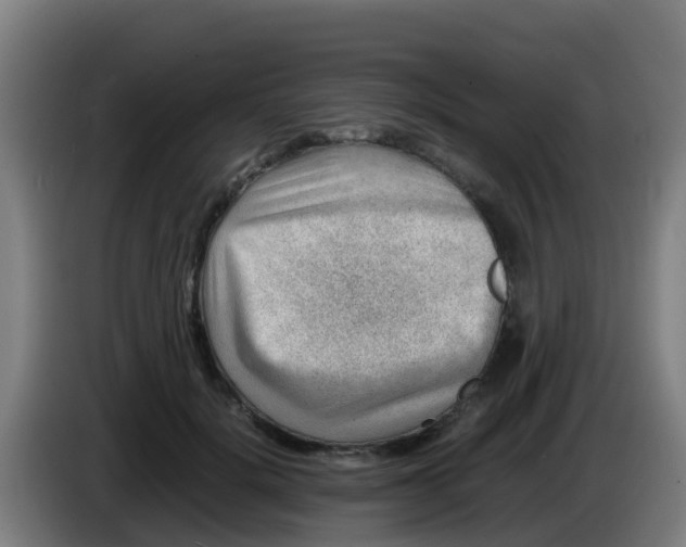 X0000086290652200704201924