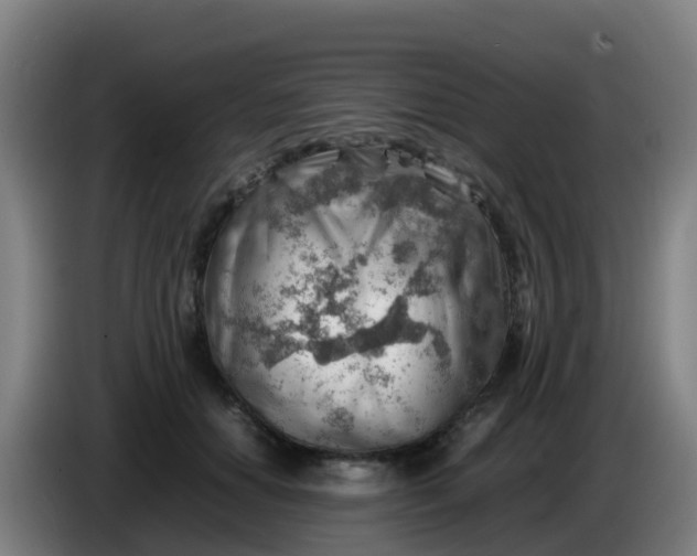 X0000086290654200704201924