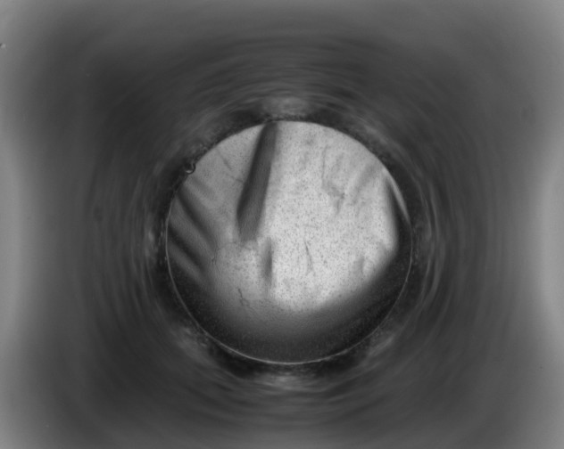 X0000086290655200704201924