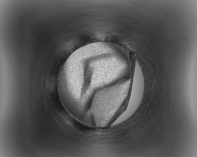 X0000086290656200704201924