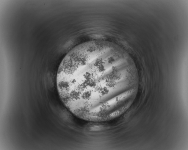 X0000086290658200704201924
