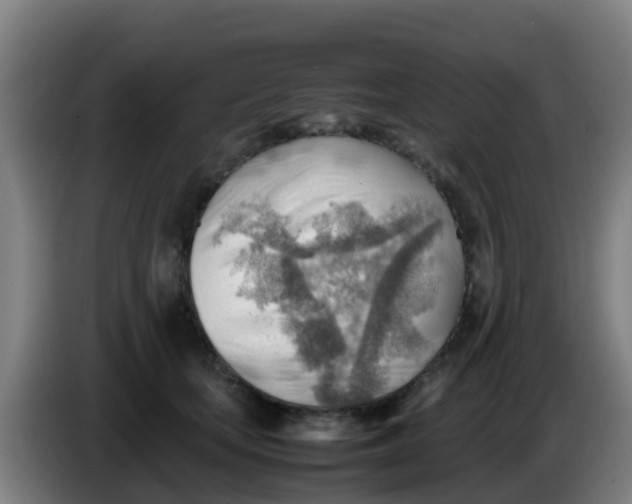 X0000086290659200704201924
