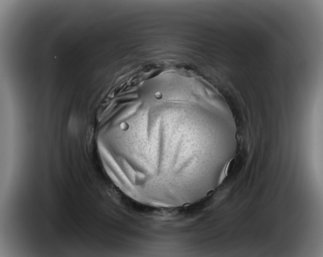 X0000086290660200704201924