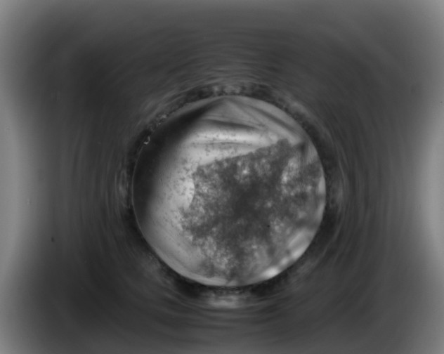 X0000086290661200704201924