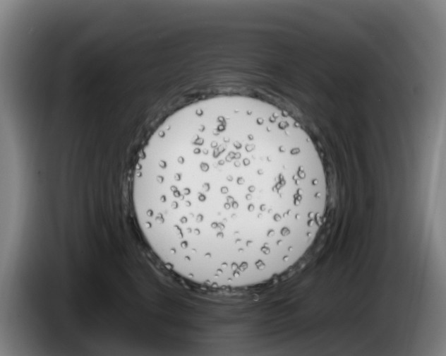 X0000086290664200704201924