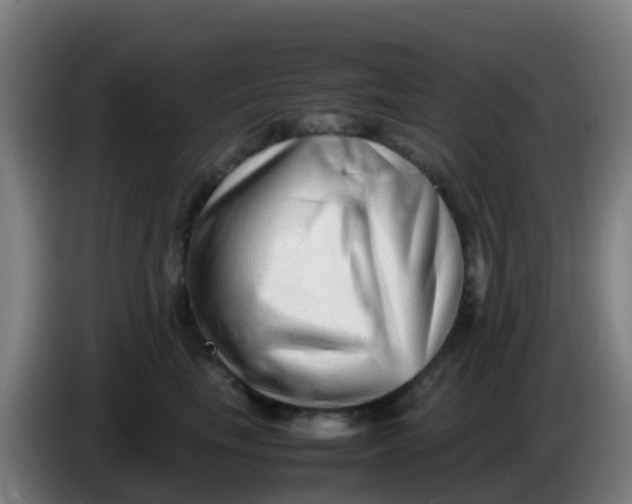X0000086290665200704201924