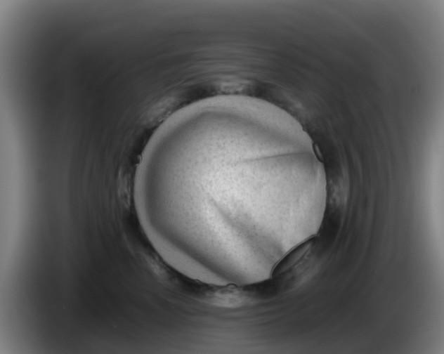 X0000086290666200704201924