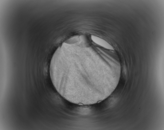X0000086290668200704201924