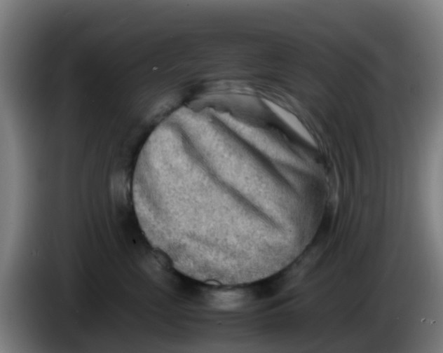 X0000086290669200704201924