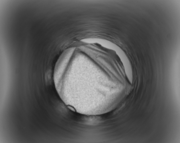 X0000086290670200704201924